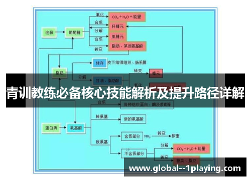 青训教练必备核心技能解析及提升路径详解