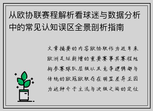 从欧协联赛程解析看球迷与数据分析中的常见认知误区全景剖析指南